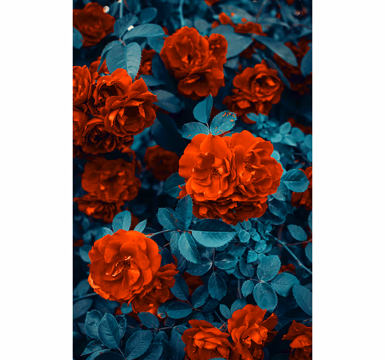 Levende blomstrende roser Blomster og planter på rullegardin - TenStickers
