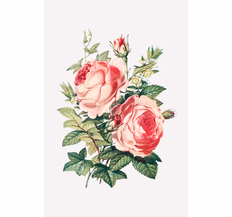 Romantiske rosenblomstrer Blomster og planter på rullegardin - TenStickers