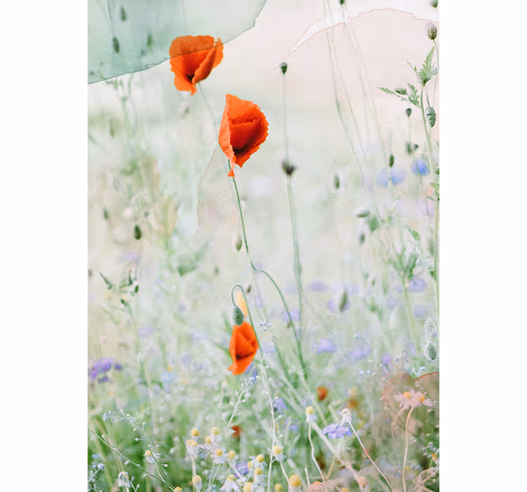 Udtværede røde valmuer blomsterRullegardiner - TenStickers