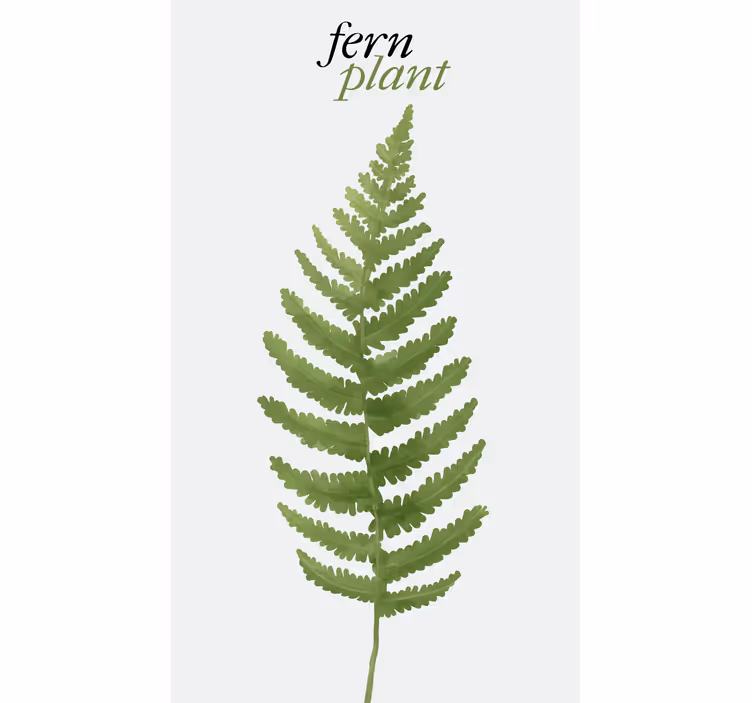 Bregne plante minimalistisk tekst rullgardin - TenStickers