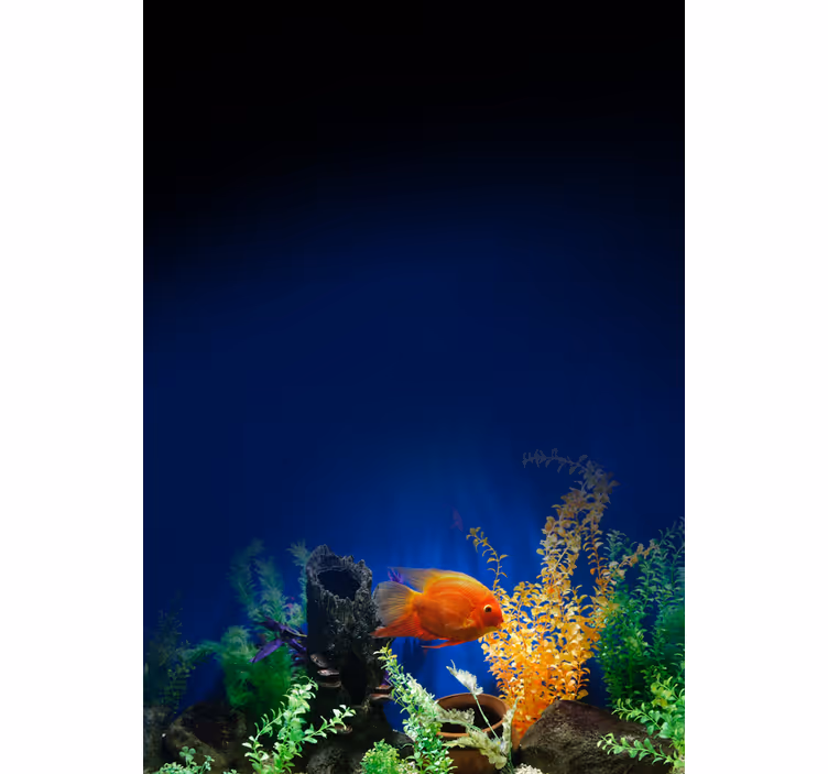 Akvarium liv forskellige dyreRullegardiner - TenStickers