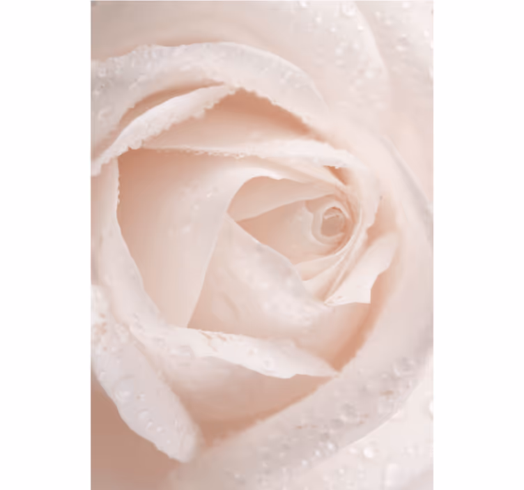 Delikat rosenblad rullegardiner med blomster - TenStickers