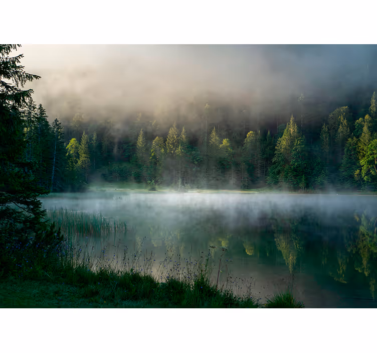 Tåget skov refleksion rullegardin træ - TenStickers