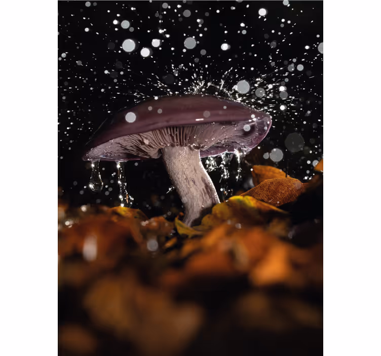 Champignon med stænk rullegardin - TenStickers