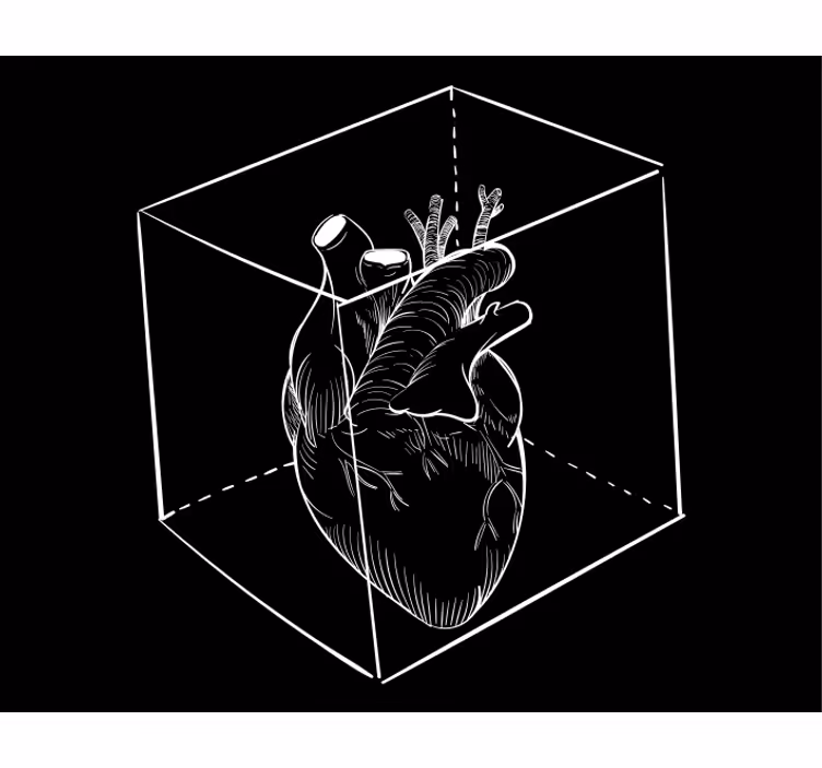 Hjerte anatomi illustration sjove rullegardiner - TenStickers