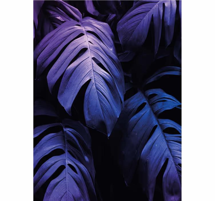 Monstera deliciosa løv Blomster og planter på rullegardin - TenStickers