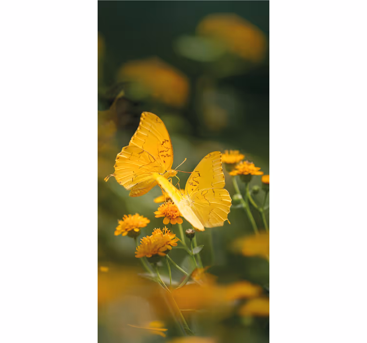 Realistiske gule vinger rullegardin med sommerfugl - TenStickers