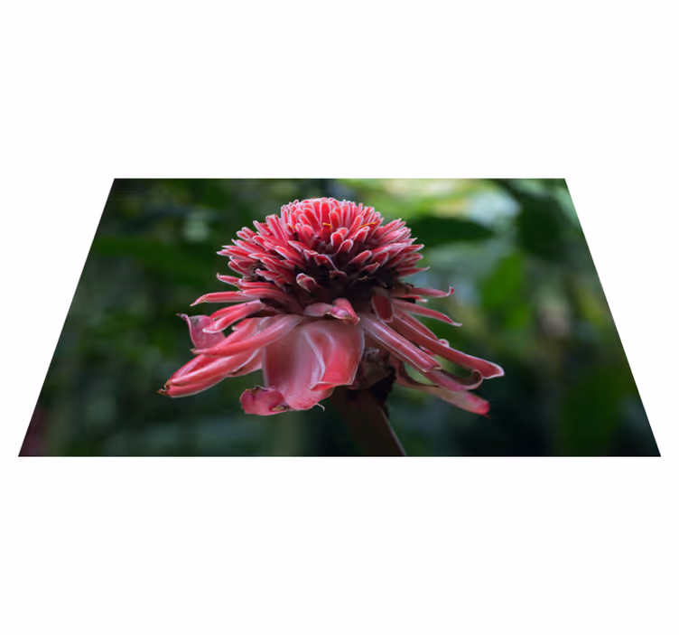 Original dækkeserviet tropisk blomsterarrangement - TenStickers