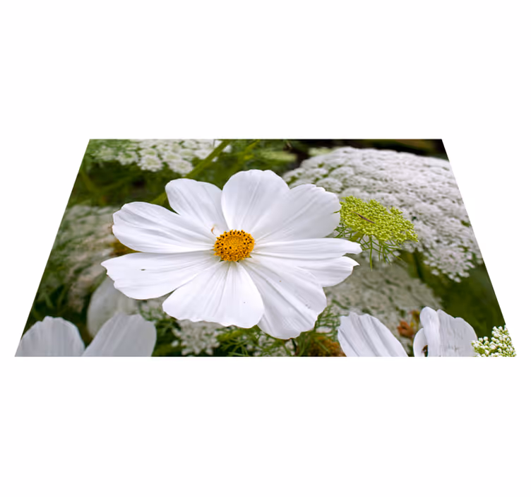 Original dækkeserviet elegant hvid blomst - TenStickers