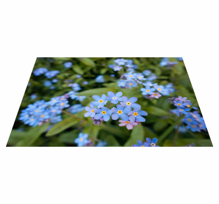 Søde små blå blomster blomsterplader - TenStickers