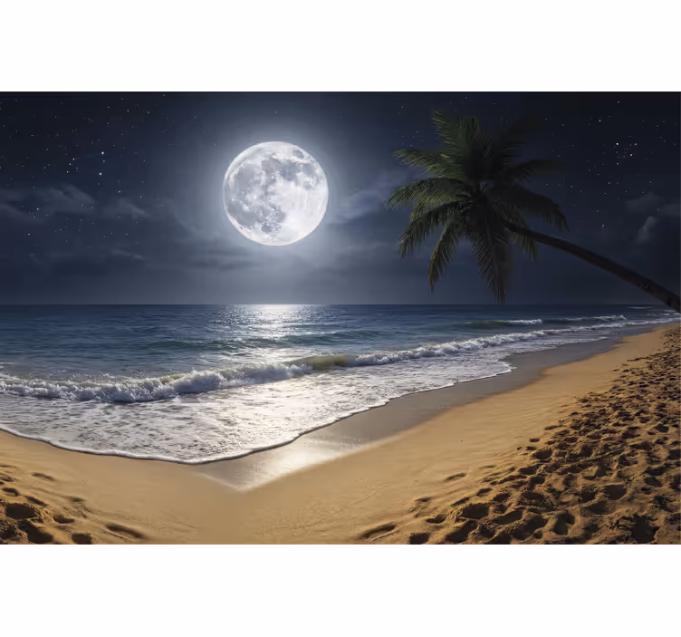 Fototapet hav fuldmåne ocean - TenStickers