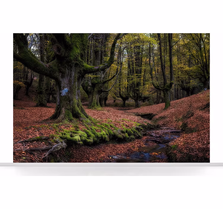 Fototapet skov fortryllet efterår - TenStickers