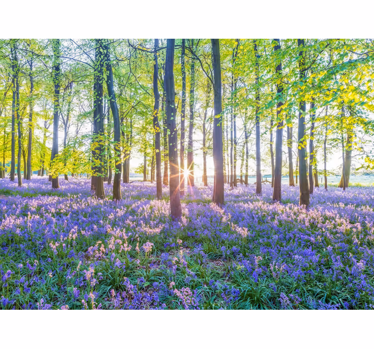 Fototapet skov naturinspireret modernisme - TenStickers