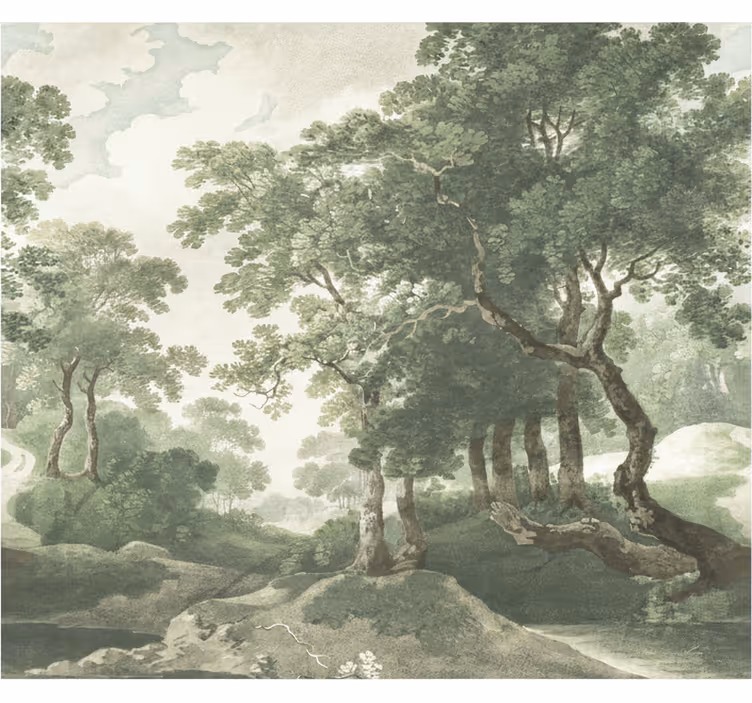 Fototapet skov klassisk tidløs natur - TenStickers