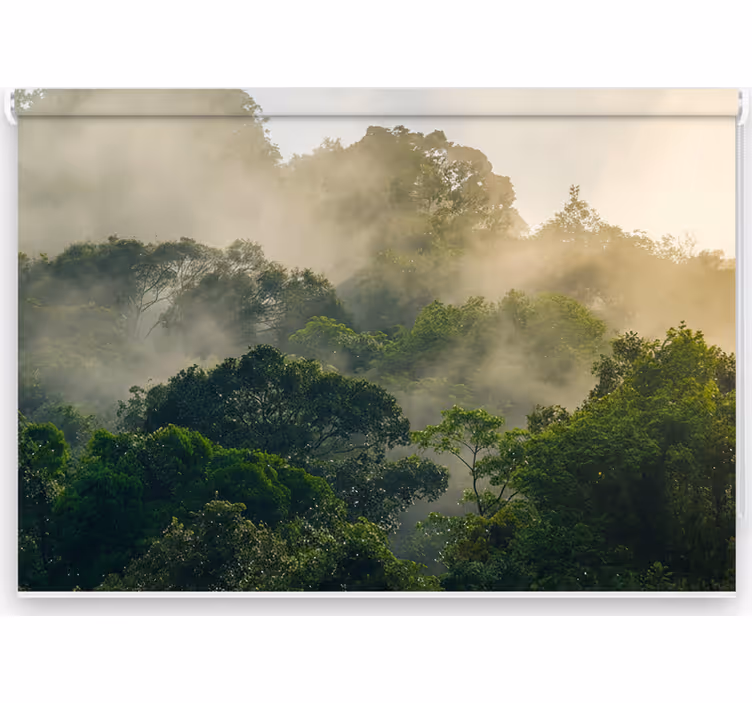 Fototapet jungle frodig jungleskov - TenStickers