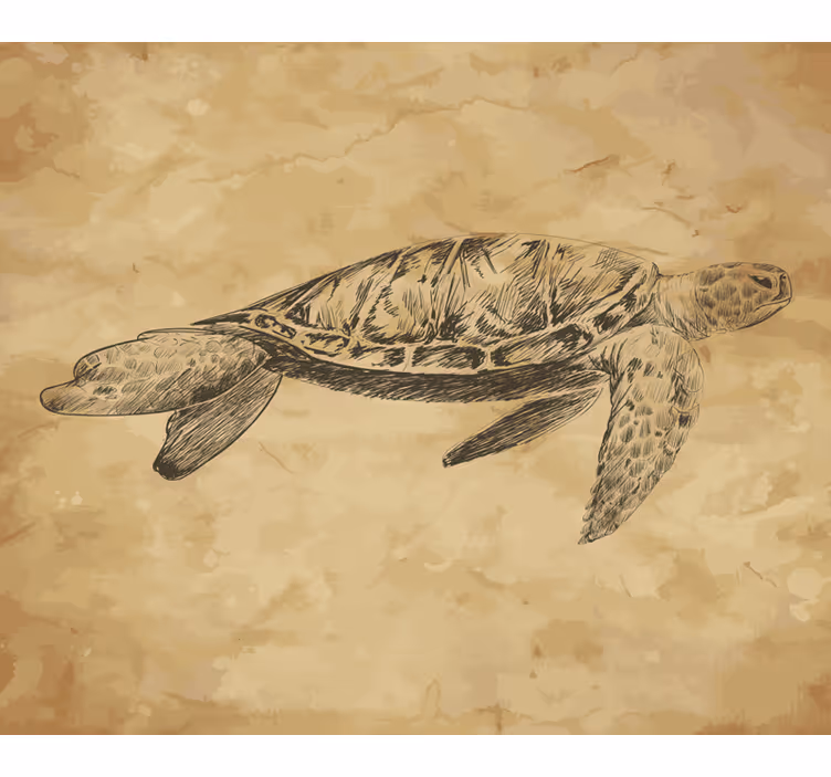 Beige fototapet skildpadde illustration - TenStickers