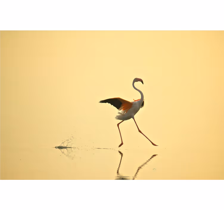 Fototapet gul sjove løbende flamingoer - TenStickers
