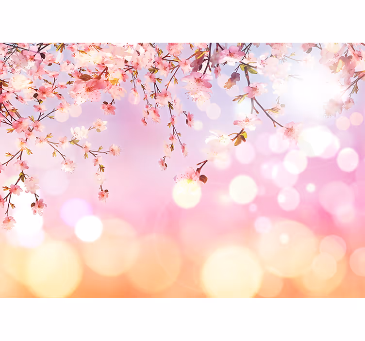 Fototapet lyserød kirsebærblomst 3d - TenStickers