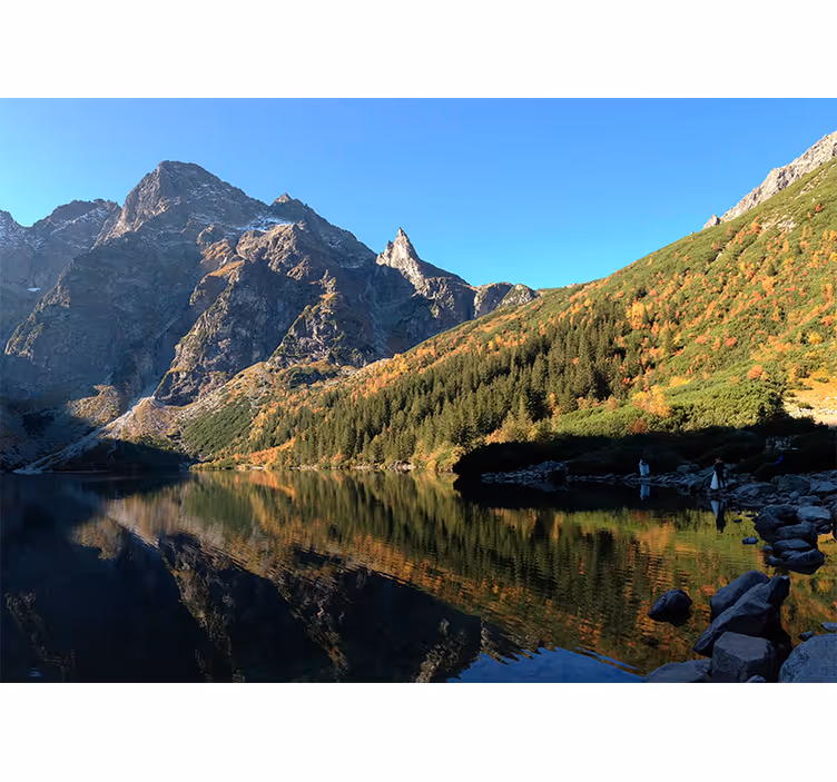 Grøn fototapet morskie oko om foråret - TenStickers