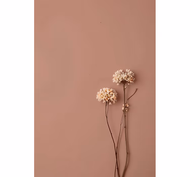 Dried flowers entre fototapet - TenStickers