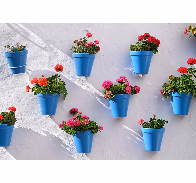Blå blomsterpotter fototapet - TenStickers