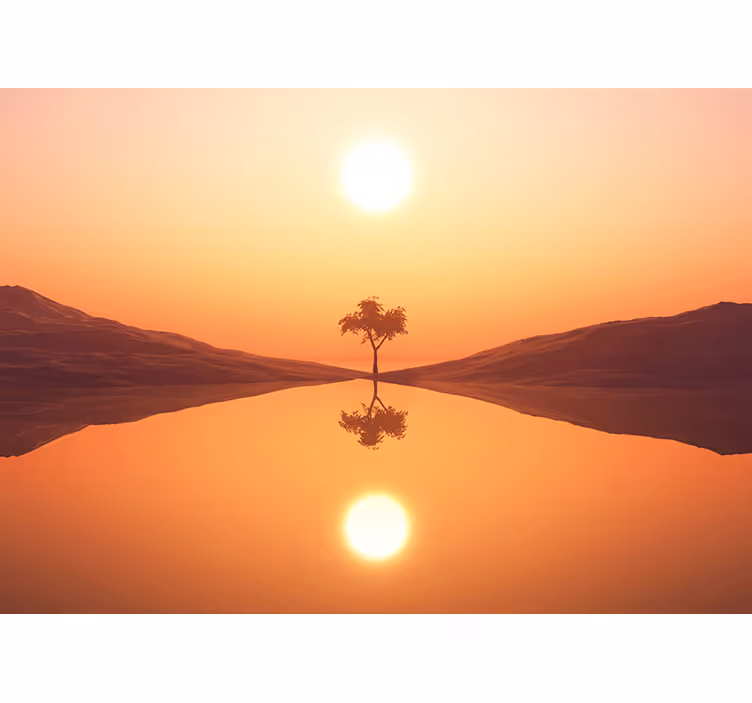 Træ ved solnedgang træ fototapet - TenStickers
