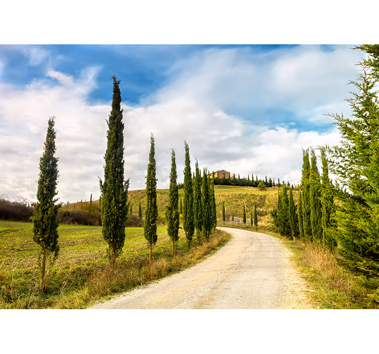 Toscana landskab fototapet - TenStickers