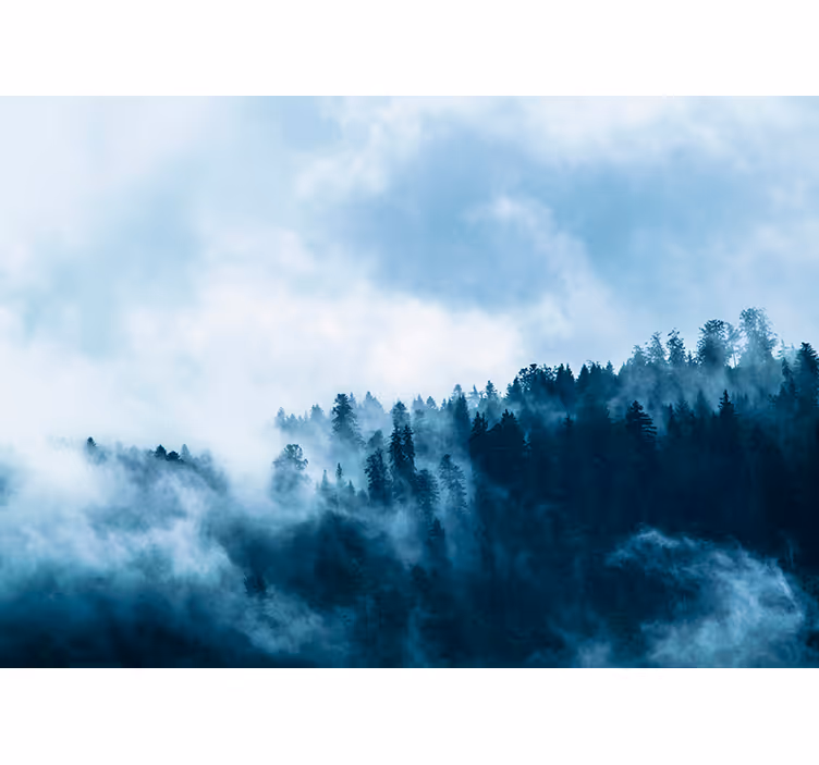 Vinter tåget skov fototapet - TenStickers