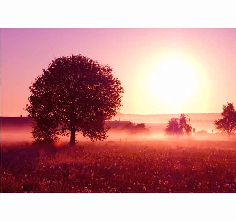 Natur fototapet silhuet af træ ved solnedgang - TenStickers