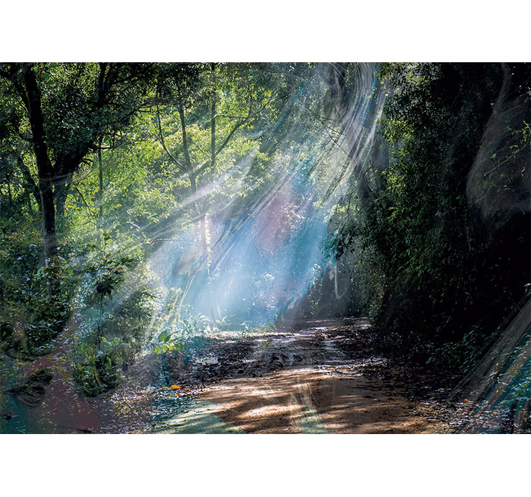 3d dybde effekt skov natur fototapet - TenStickers