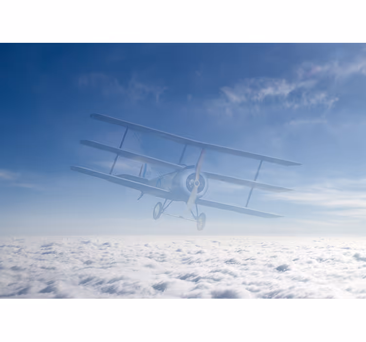 Himmel med fly ægteskab fototapeter - TenStickers