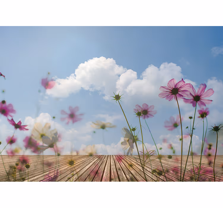 Fototapet blomster delikate blomsterblomster - TenStickers