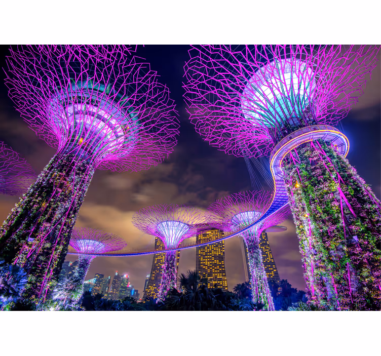 Smukke lys i singapore bymaleri - TenStickers