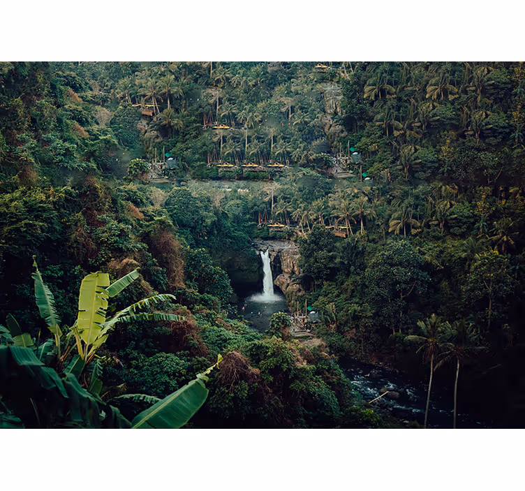 Natur fototapet frodig junglevandfald - TenStickers