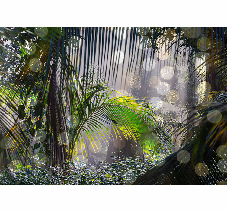 Frodige grønne scener fototapet jungle - TenStickers