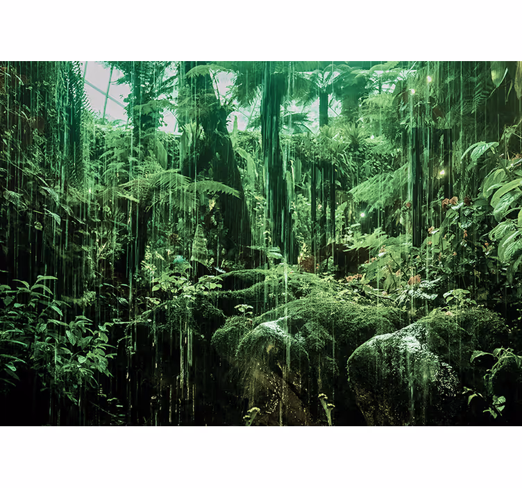 Fototapet jungle frodig tropisk baldakin - TenStickers