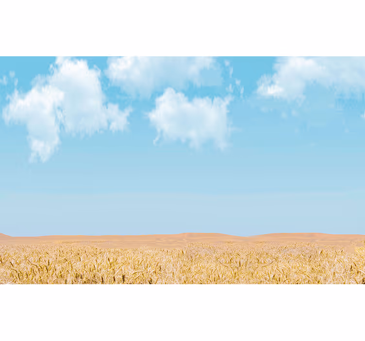 Himmel og hvede landskab fototapet - TenStickers