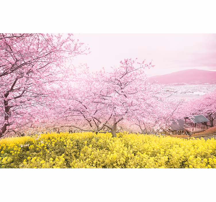 Ro i kirsebærblomster fototapet blomster - TenStickers