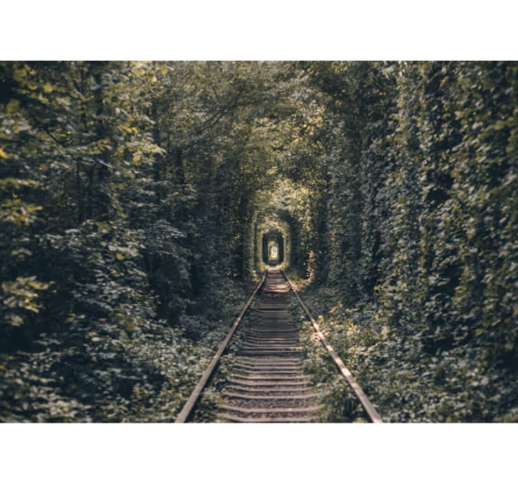 Skovtunnelsti landskab fototapet - TenStickers