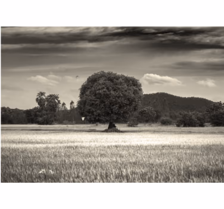 Haven af eden natur fototapet - TenStickers