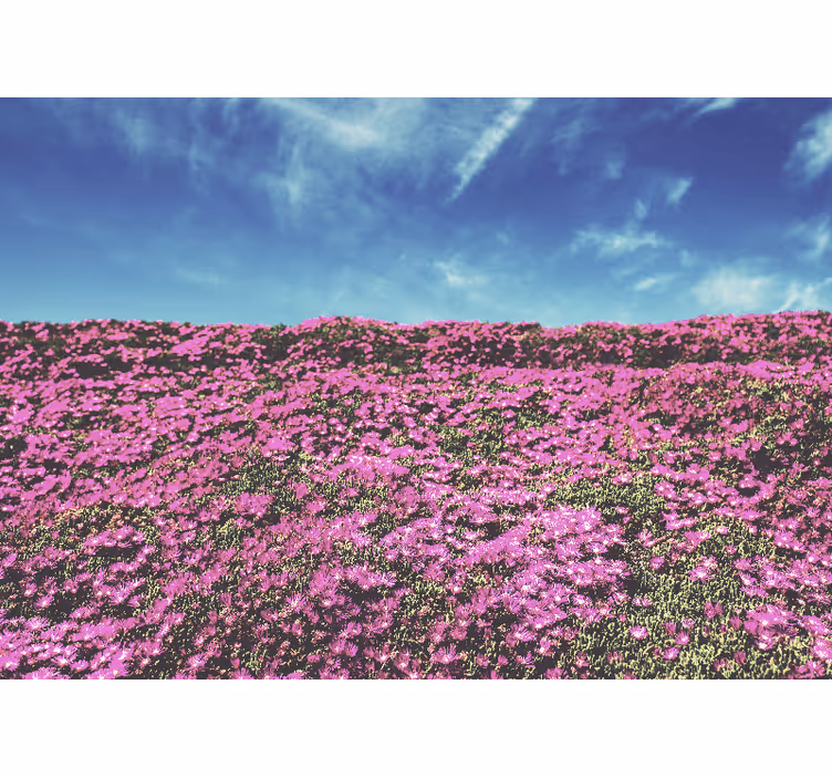 Fototapet blomster i livlige pink blomster - TenStickers