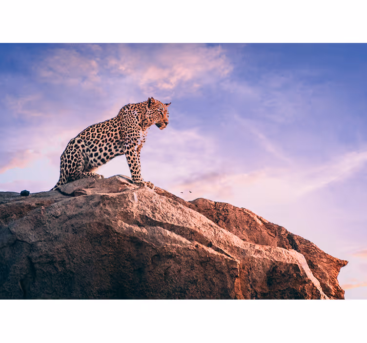 Leopard solnedgang fototapet - TenStickers