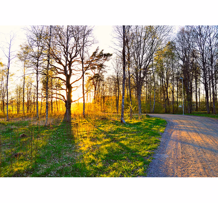 Park grøn bank natur fototapet - TenStickers
