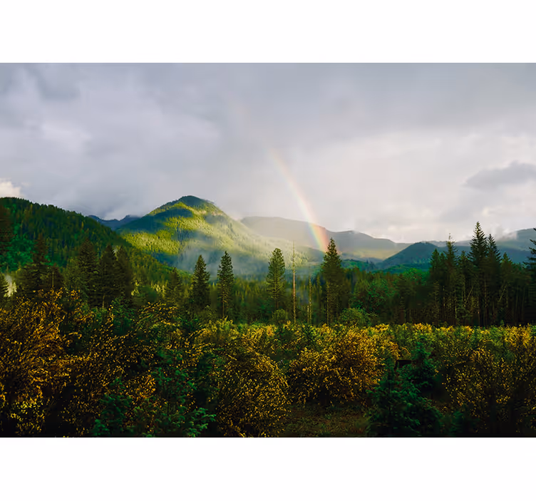 Landskab med regnbue natur fototapet - TenStickers