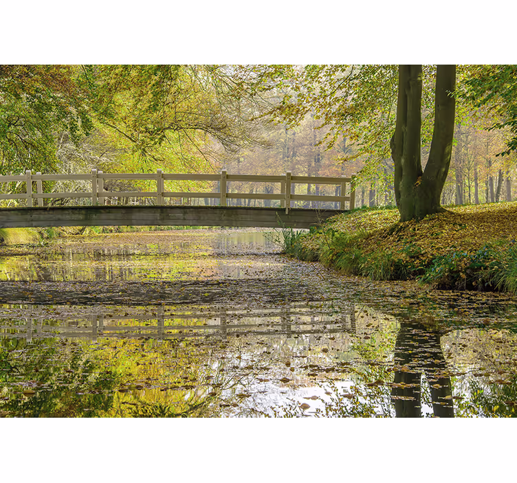 Træ sti skov med sø natur fototapet - TenStickers