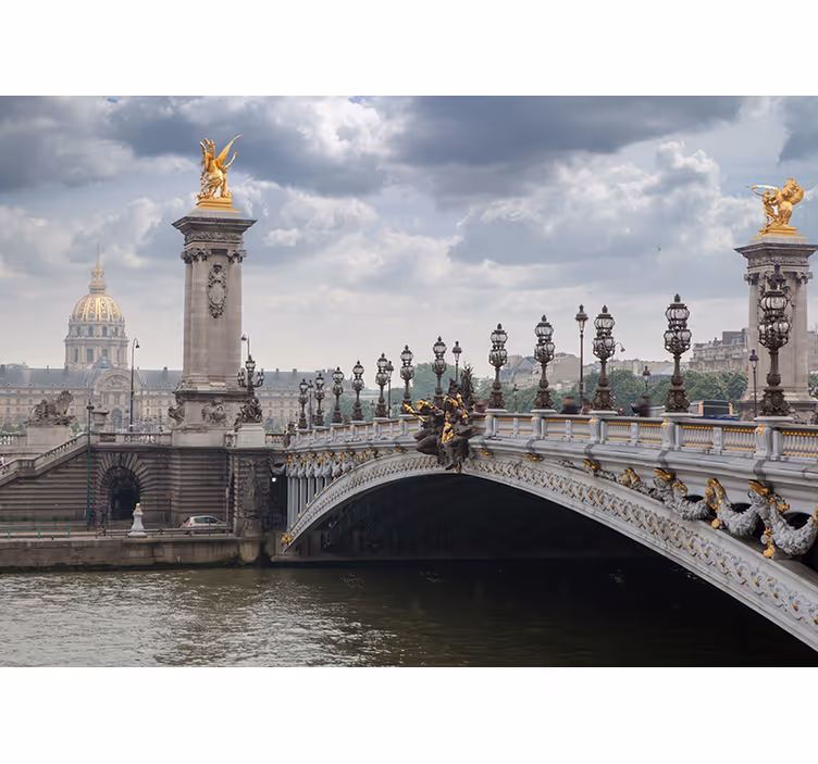 Udsigt over pont alexandre iii fototapet af byer - TenStickers