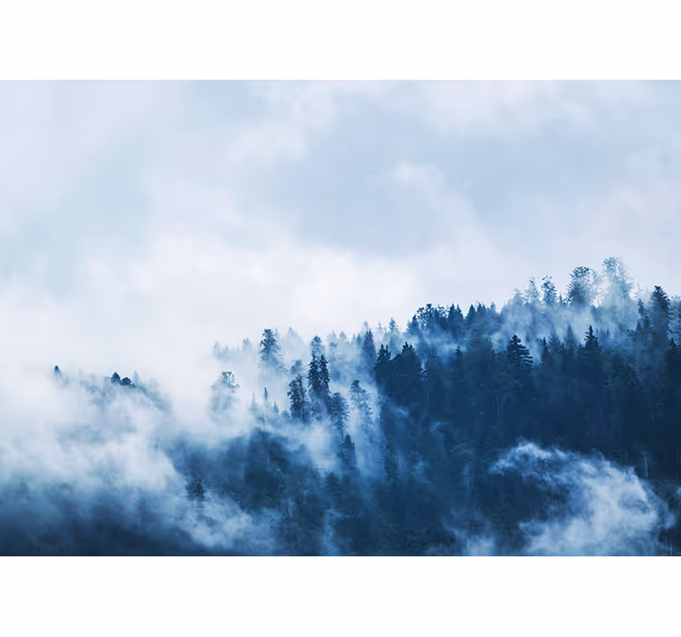 Natur fototapet skov tåget landskab - TenStickers