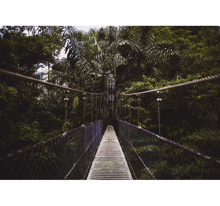 Bro i en jungle natur fototapet - TenStickers