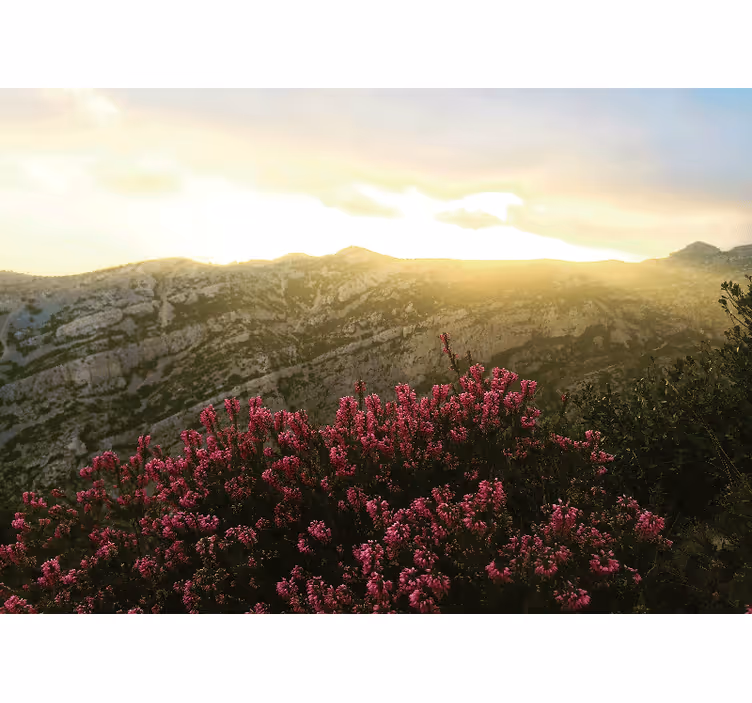 Bjerg og blomster fototapet badeværelse - TenStickers