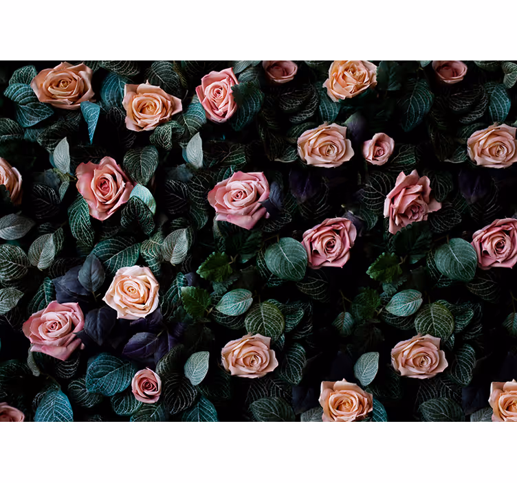 Fototapet blomster romantiske roser - TenStickers